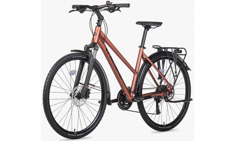 Bicycle Unibike Flash EQ LDS 2026 brandy - 3