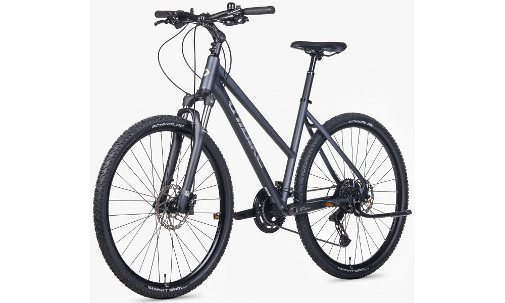 Bicycle Unibike Viper LDS 2026 grey - 3