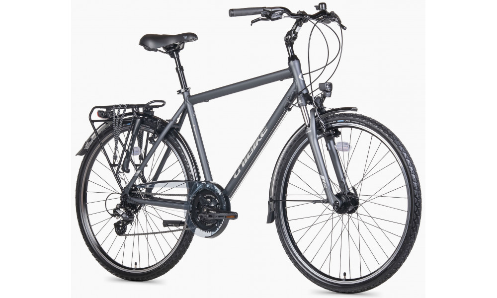 Bicycle Unibike Vision GTS 2026 grey - 2