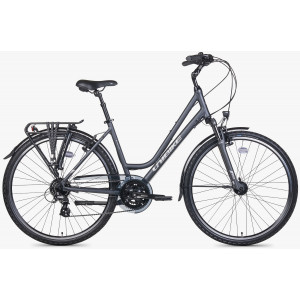 Bicycle Unibike Vision LDS 2026 grey