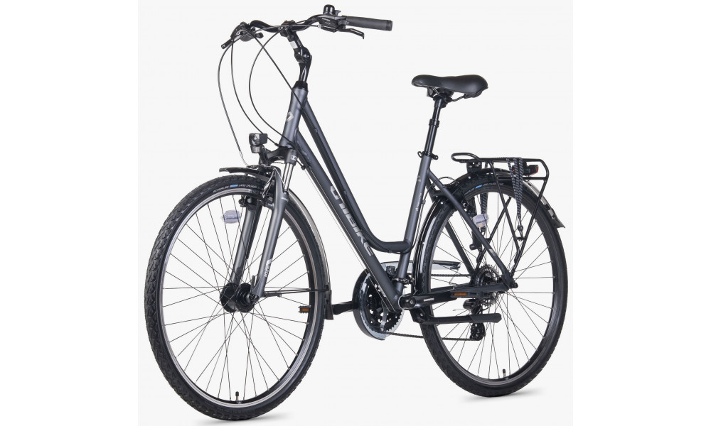 Bicycle Unibike Vision LDS 2026 grey - 3