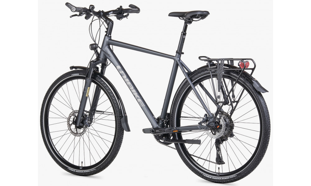 Bicycle Unibike Globetrotter GTS 2026 grey - 5