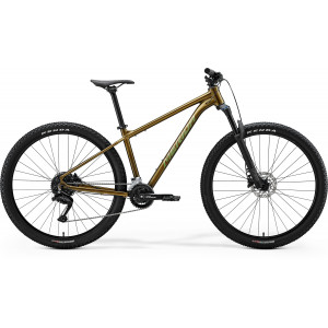 ????????? Merida Big.Nine 60 2026 silk pineapple gold(green)