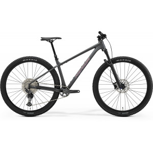 ????????? Merida Big.Nine TR 700 2026 silk dark grey(rainbow purple)