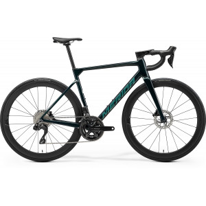 ????????? Merida Scultura 6000 2026 halo green(silver-green)