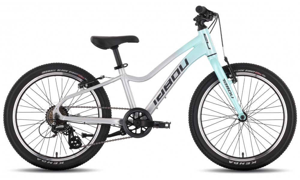 Bicycle Tabou Topshe 20 Lite mint-grey - 1