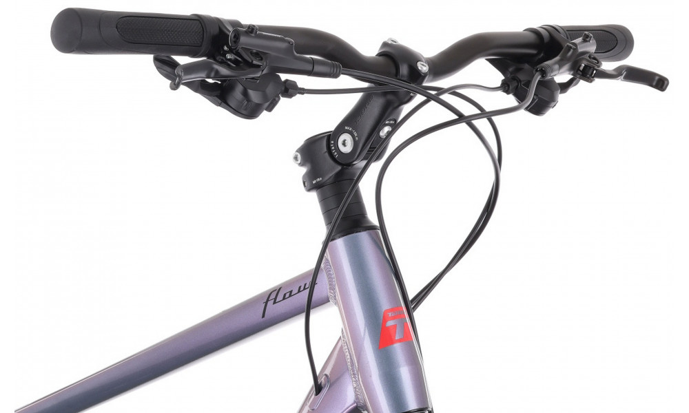 Bicycle Tabou Flow 1 19 black-chameleon - 6