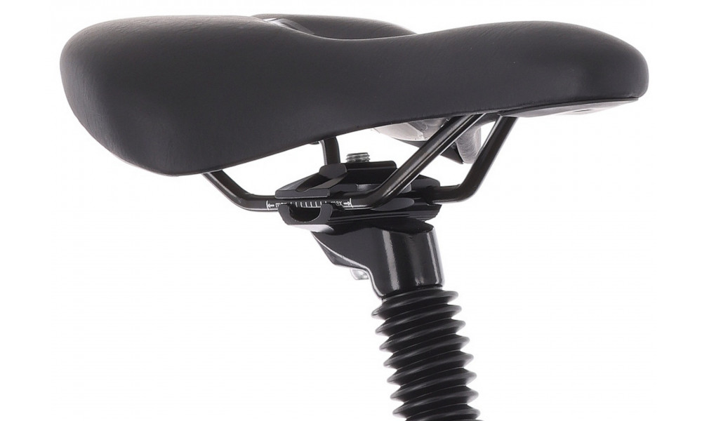 Bicycle Tabou Flow 1 21 black-chameleon - 5