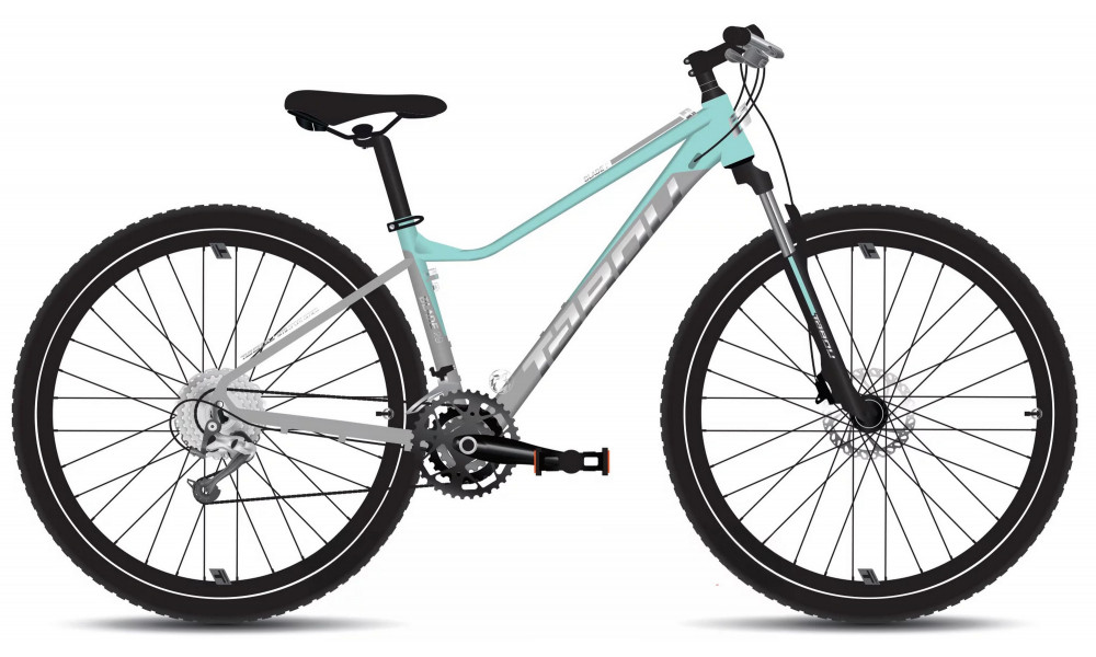 Bicycle Tabou Blade 29 2 W grey-mint 