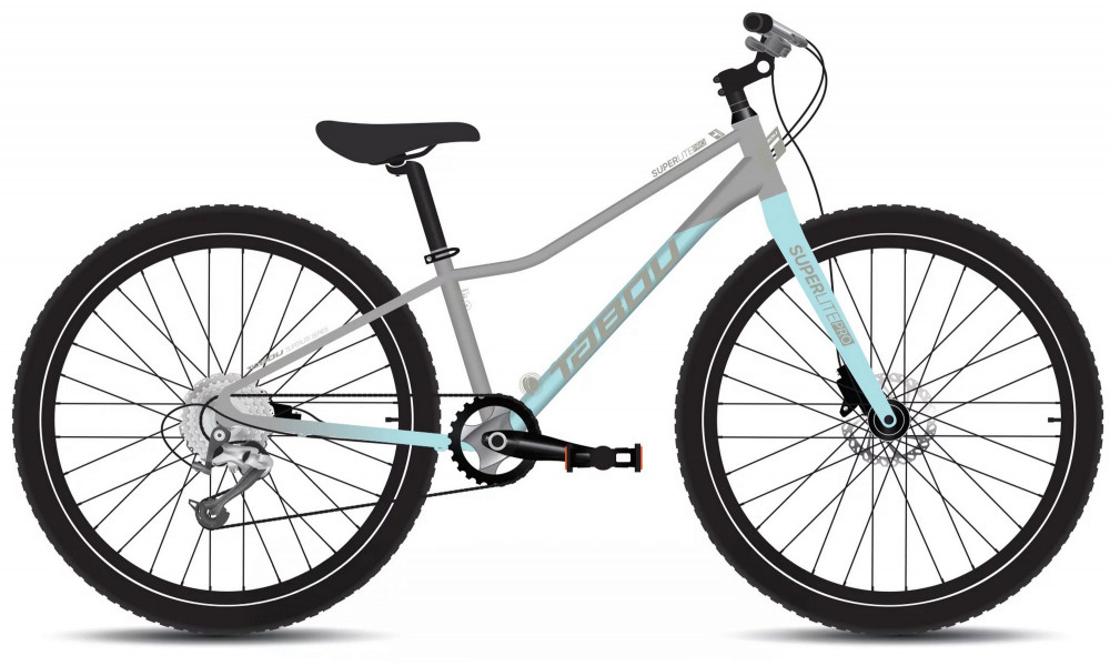 Bicycle Tabou Superlite Pro 26 W grey-mint 