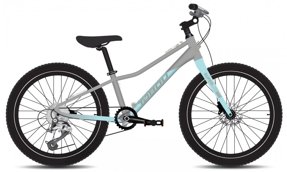 Bicycle Tabou Superlite Pro 20 W grey-mint 