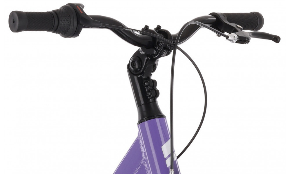 Bicycle Tabou Queen 20 Plus purple-white - 6