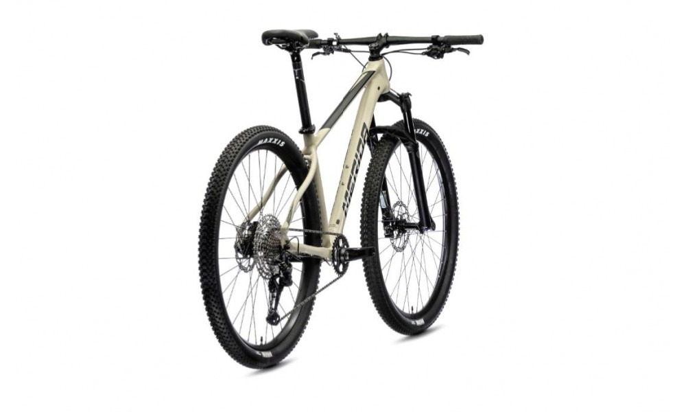 Bicycle Merida BIG.NINE XT-edition 2021 silk light sand - 4