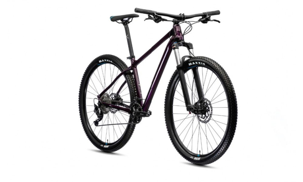 Bicycle Merida BIG.NINE 300 2021 dark purple - 2