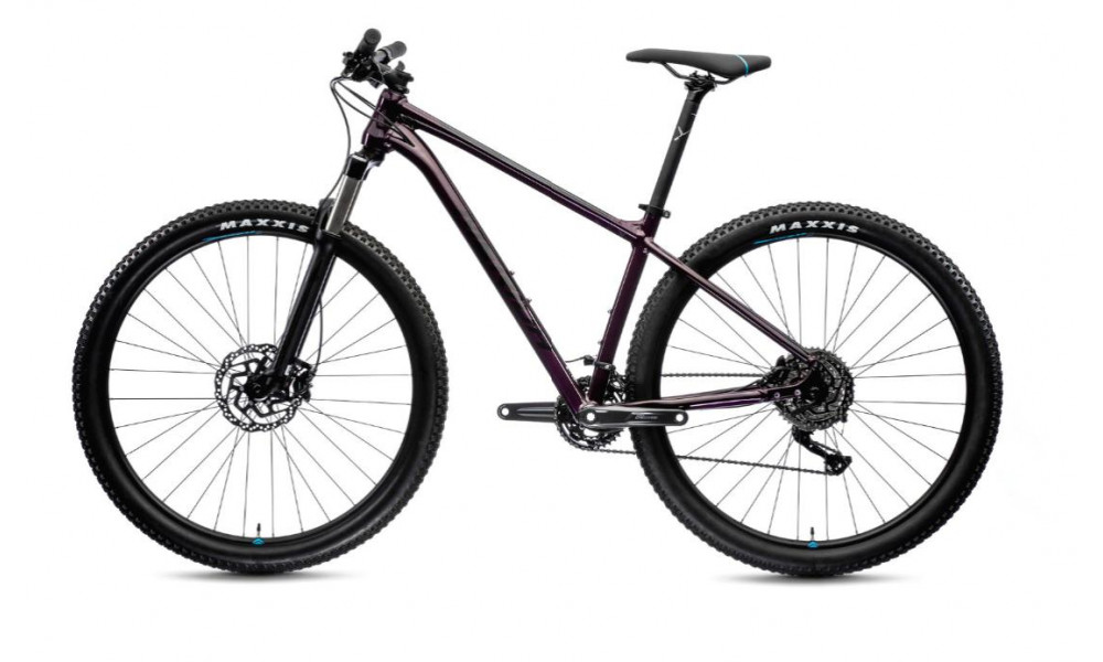 Bicycle Merida BIG.NINE 300 2021 dark purple - 4