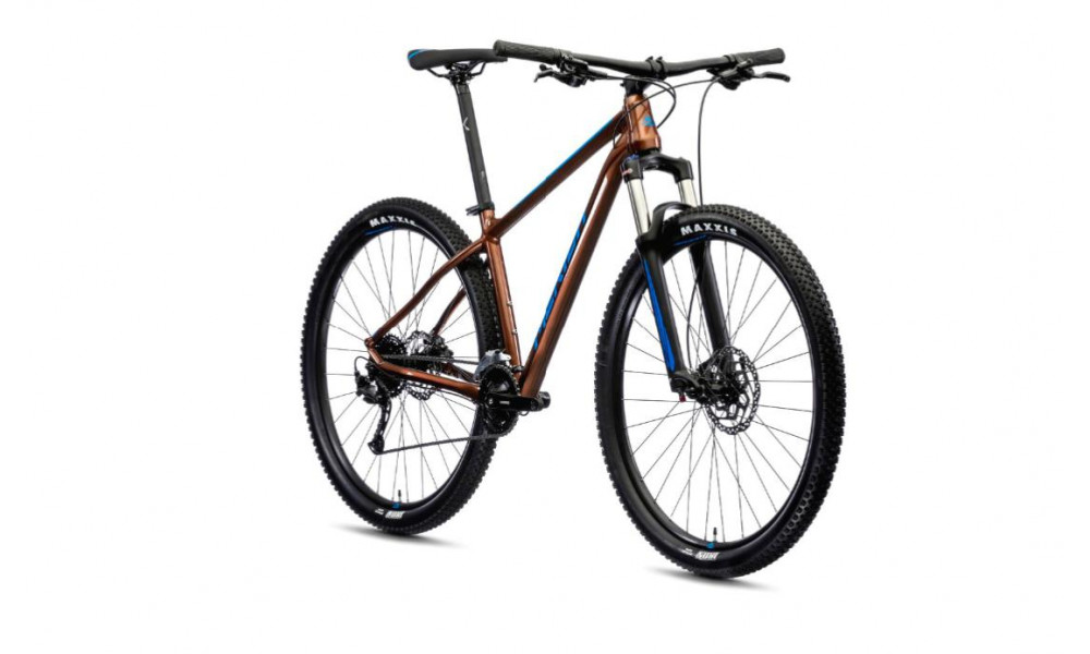 Bicycle Merida BIG.NINE 100-2X 2021 bronze - 3