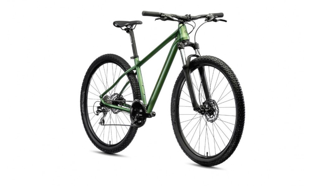 Bicycle Merida BIG.NINE 20 2021 matt fog green - 2