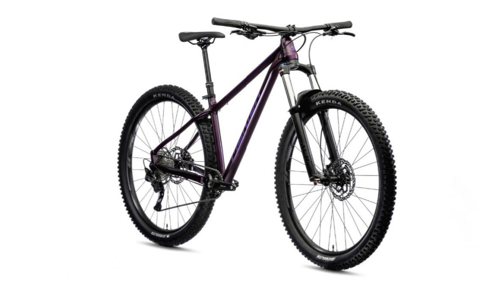 Bicycle Merida BIG.TRAIL 400 2021 silk dark purple - 2