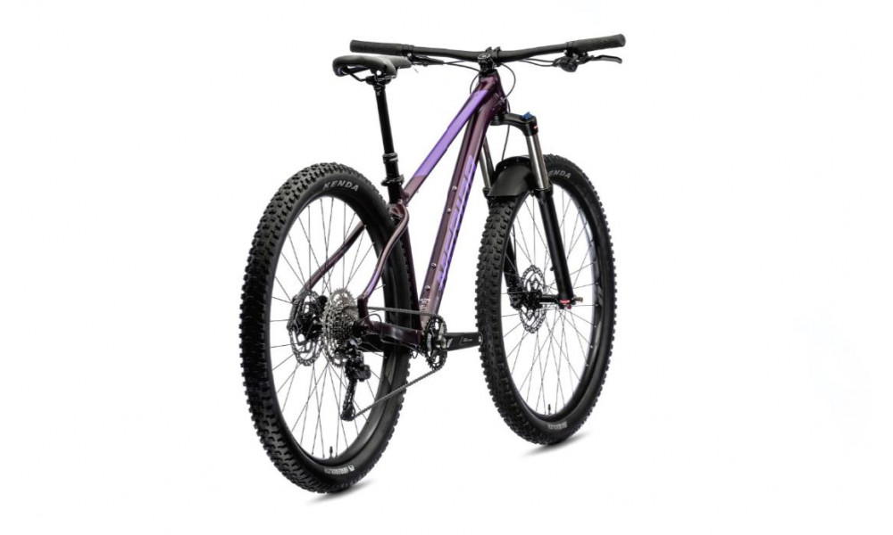 Bicycle Merida BIG.TRAIL 400 2021 silk dark purple - 3