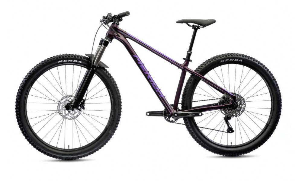 Bicycle Merida BIG.TRAIL 400 2021 silk dark purple - 4