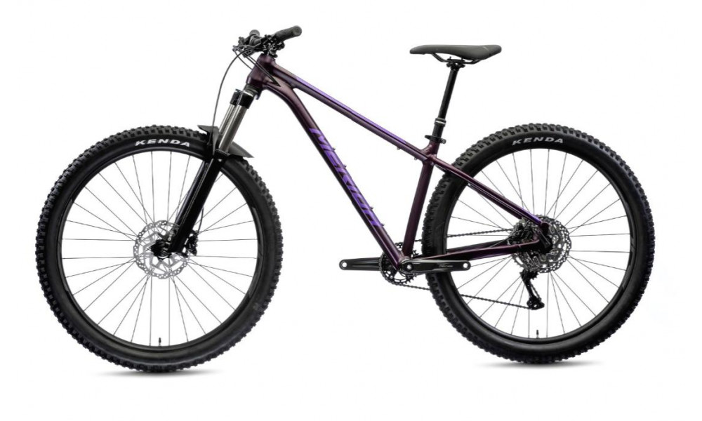 Dviratis Merida BIG.TRAIL 400 2021 silk dark purple - 4