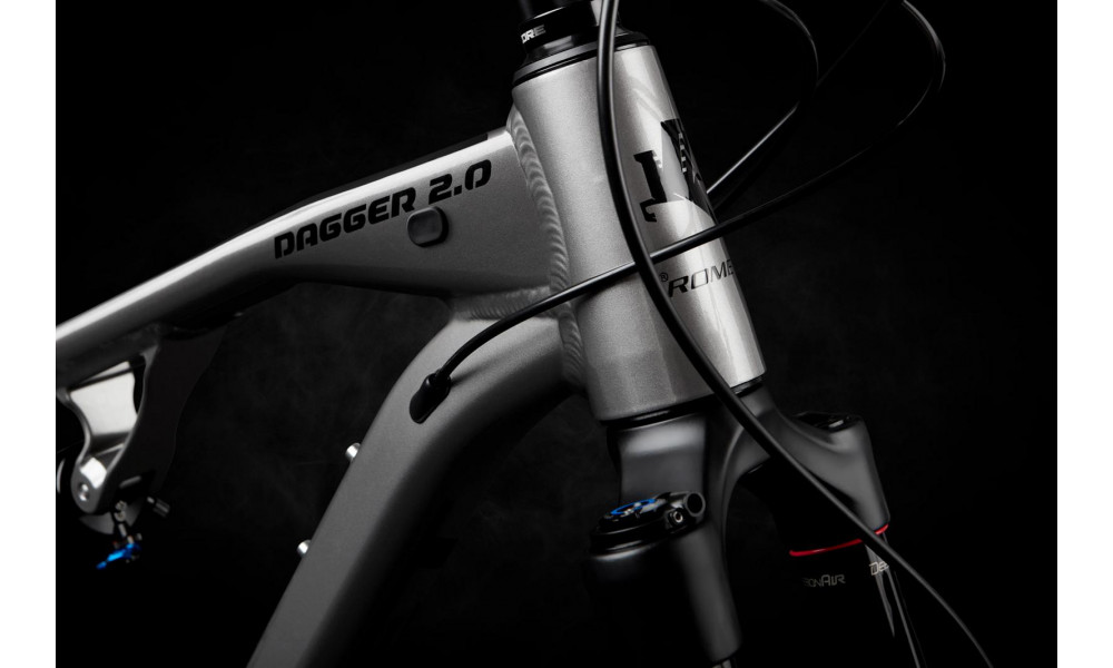 Bicycle Romet Dagger 2 29" 2021 silver - 3