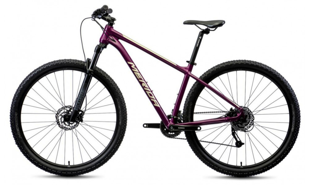 Bicycle Merida BIG.NINE 60-2X silk purple - 4