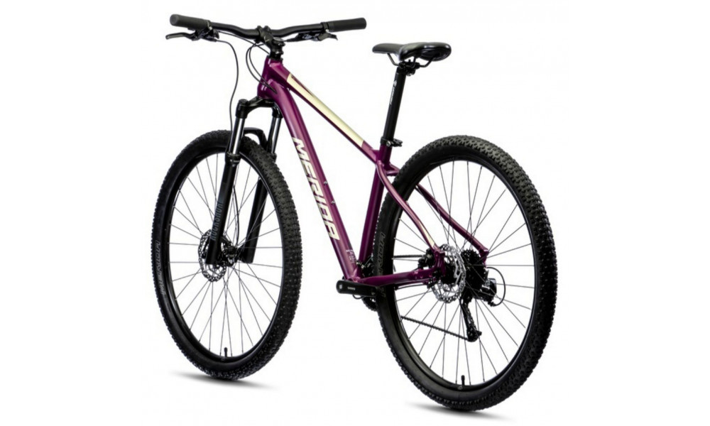 Bicycle Merida BIG.NINE 60-2X silk purple - 6