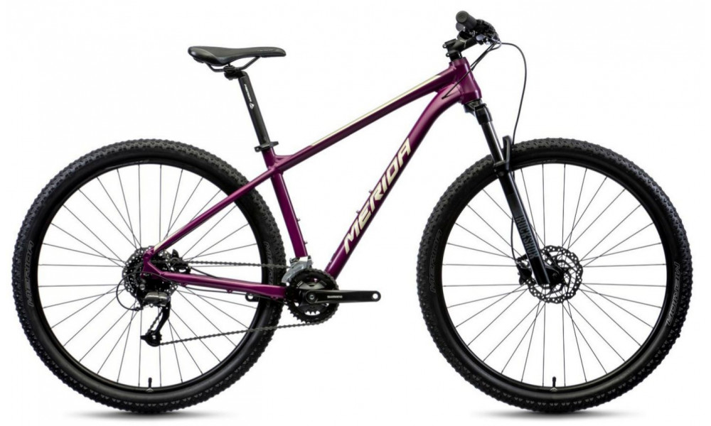 Bicycle Merida BIG.NINE 60-2X silk purple - 7