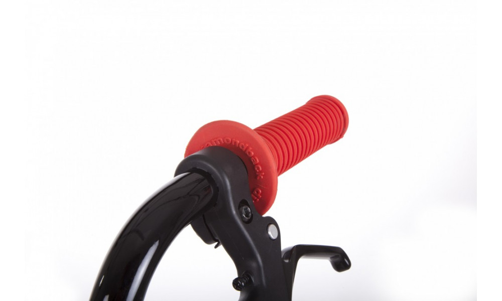 Dviratis Diamondback BMX Grind II 2018 black - 2