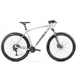 Bicycle Romet Mustang M3 29" 2022 silver-grey