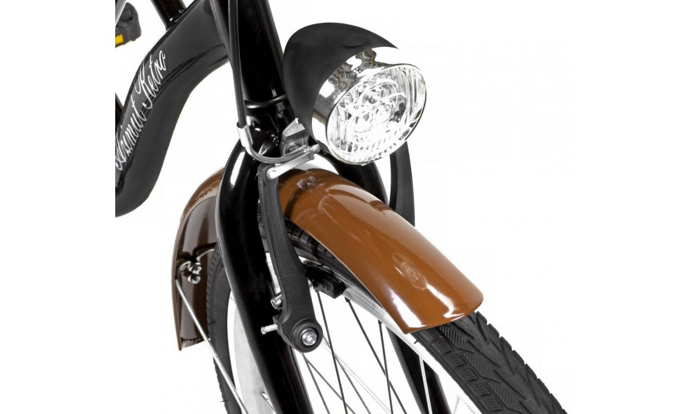 Dviratis AZIMUT Retro 28" 2020 black - 5