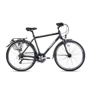 Bicycle UNIBIKE Vision GTS 2021 black
