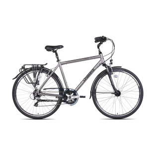 Bicycle UNIBIKE Vision GTS 2021 graphite