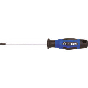 Čķńņšóģåķņ Cyclus Tools screwdriver Torx TX 15x80 (720528)