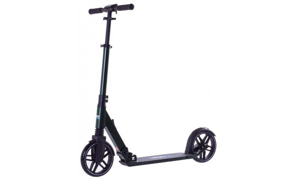 Paspirtukas Rideoo 200 City green - 1
