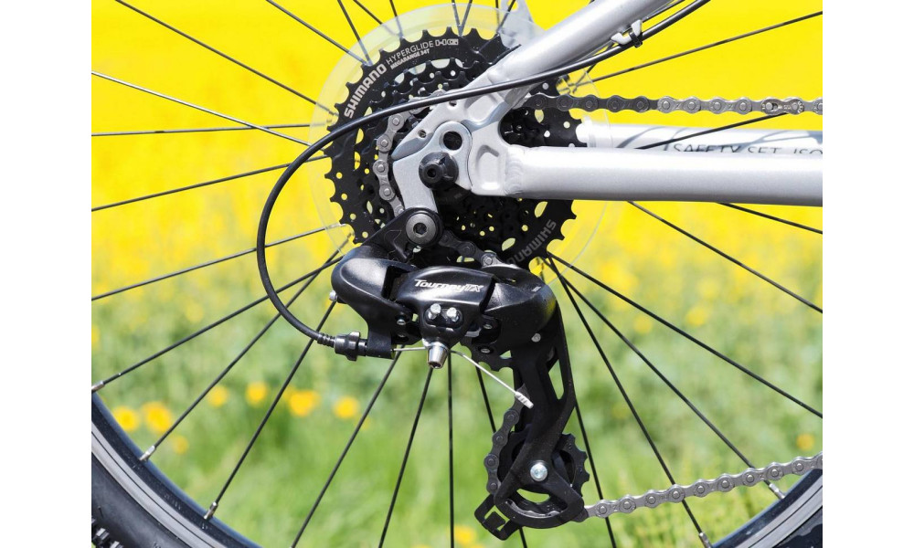 Bicycle PUKY LS-PRO 24-8 Alu silver/berry - 3