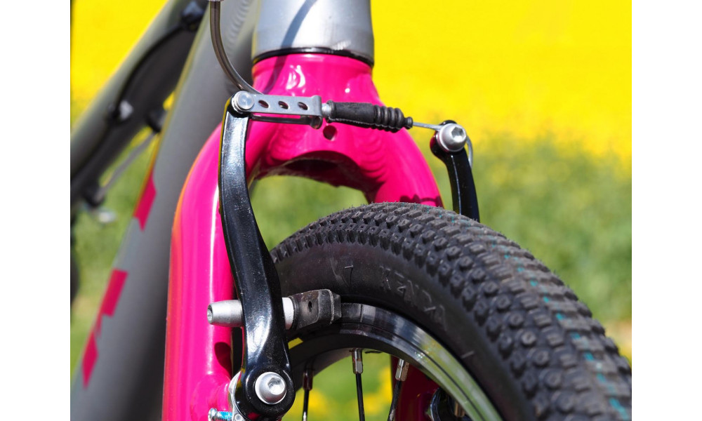 Bicycle PUKY LS-PRO 24-8 Alu silver/berry - 6