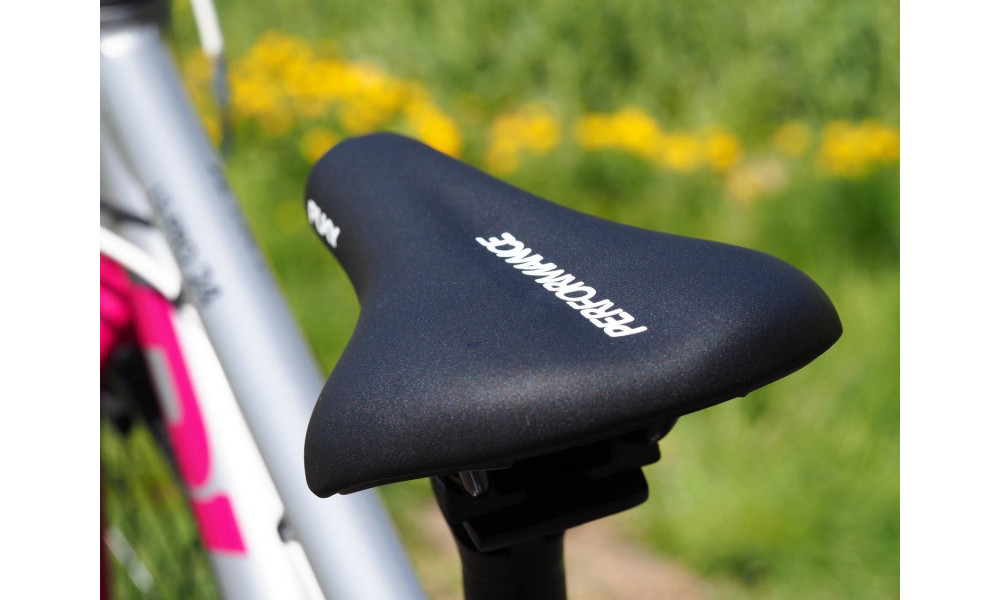 Bicycle PUKY LS-PRO 24-8 Alu silver/berry - 20