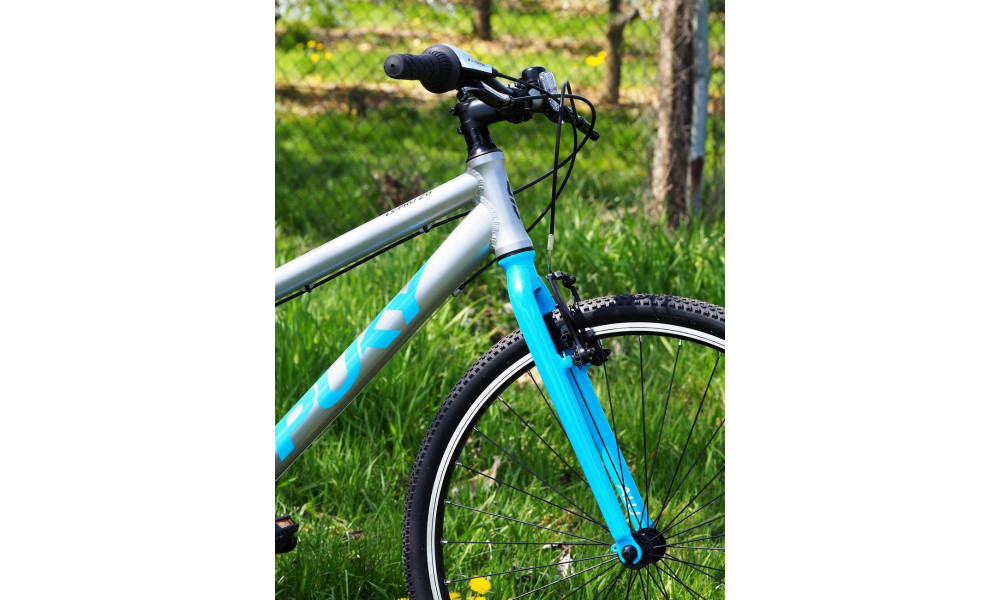 Dviratis PUKY LS-PRO 26-8 Alu silver/blue - 3