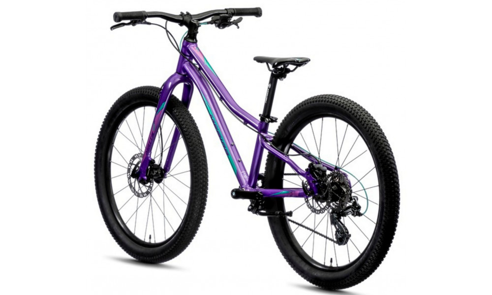 Bicycle Merida MATTS J.24+ dark purple - 2