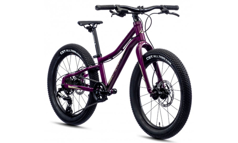 Велосипед Merida MATTS J.20+ purple - 1