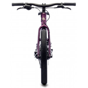Bicycle Merida MATTS J.20+ purple
