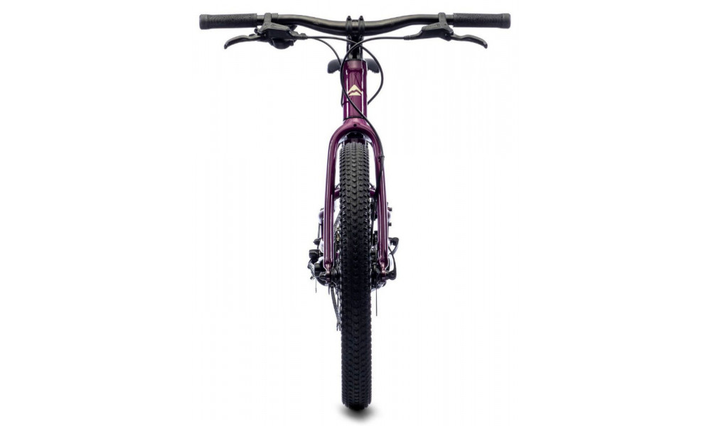 Велосипед Merida MATTS J.20+ purple - 2