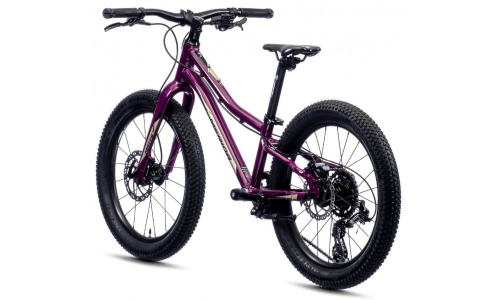 Велосипед Merida MATTS J.20+ purple - 5