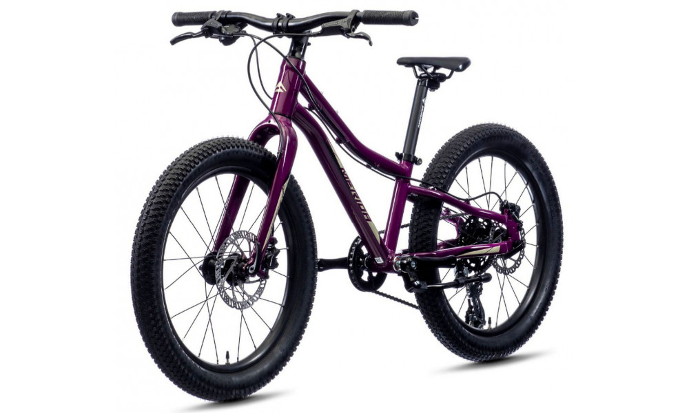 Велосипед Merida MATTS J.20+ purple - 6