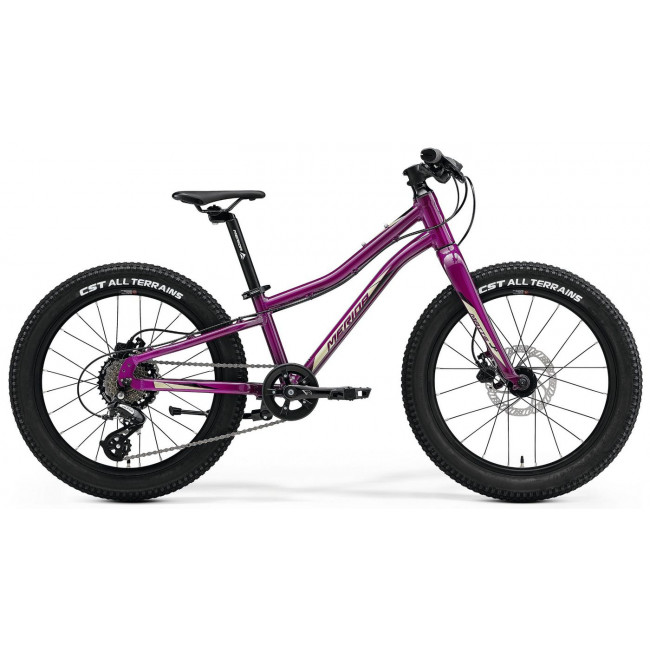 Bicycle Merida MATTS J.20+ purple