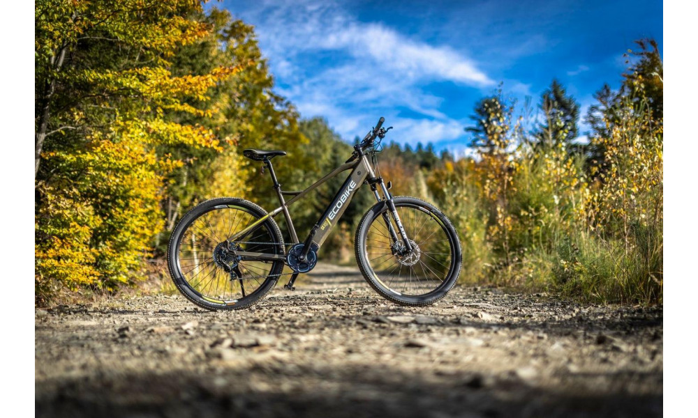 Электрический велосипед Ecobike SX 300 29" 48V green - 2