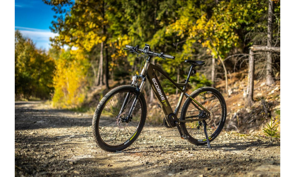 Электрический велосипед Ecobike SX 300 29" 48V green - 3