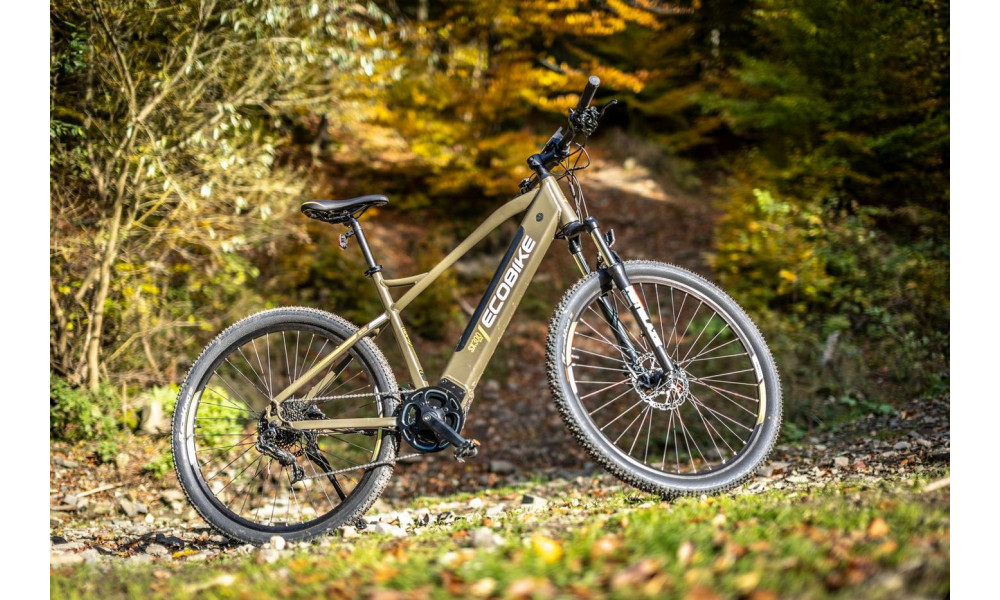 Электрический велосипед Ecobike SX 300 29" 48V green - 6